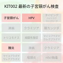 KIT002 アイラボの「最新の子宮頸がん検査」検査項目：子宮頸がん細胞診　HPVハイリスク検査　膣炎