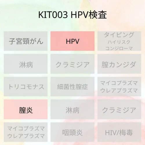 膣炎とハイリスクHPVグループの感染があるか調べる検査です。 ただし、このキットではハイリスクHPVのどの型のHPVに感染をしているかまでは検査出来ないため、型まで調べたい方はKIT005 HPVタイピング検査（ハイリスク13種HPV）をご利用ください。