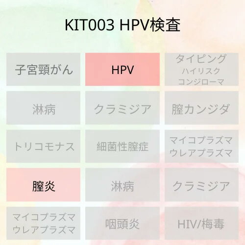 【送料無料】KIT003 アイラボの「HPVハイリスク検査」 【あす楽対応】検査項目：ハイリスクHPV（13種）、膣炎