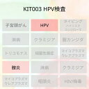 膣炎とハイリスクHPVグループの感染があるか調べる検査です。 ただし、このキットではハイリスクHPVのどの型のHPVに感染をしているかまでは検査出来ないため、型まで調べたい方はKIT005 HPVタイピング検査（ハイリスク13種HPV）をご利用ください。