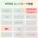 【送料無料】KIT004 アイラボの「HPVタイピング検査（尖圭コンジローマ）」【あす楽対応】検査項目：コンジローマ（イボ）HPV2種類、膣炎