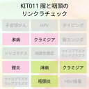 【送料無料】KIT011 アイラボの「膣と咽頭のリン・クラチェック」 【あす楽対応】検査項目:淋病、クラミジア、炎症