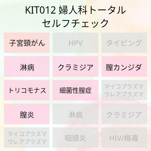 【送料無料】KIT012 アイラボの「婦人科トータルセルフチェック」【あす楽対応】検査項目：子宮頸がん..