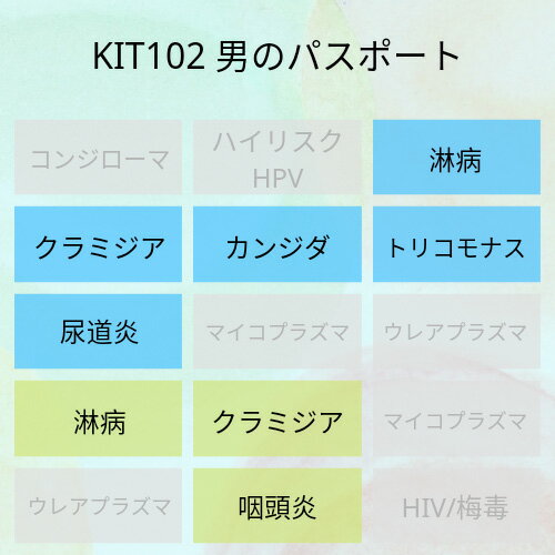 【送料無料】KIT102アイラボの「男のパスポート」【あす楽対応】検査項目：淋病、クラミジア、トリコモナス、カンジダ、炎症