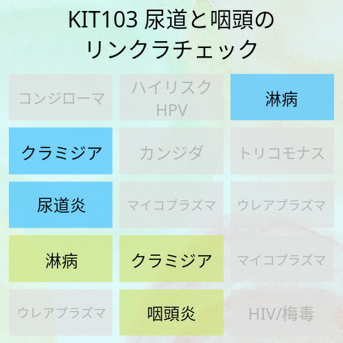 【送料無料】KIT103 アイラボの「尿道と咽頭のリン・クラチェック」【あす楽対応】検査項目：淋病、クラミジア、炎症