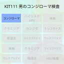 KIT111 アイラボの「男のコンジローマタイピング検査（コンジローマHPV）」検査項目：コンジローマ型HPVのタイピング、炎症