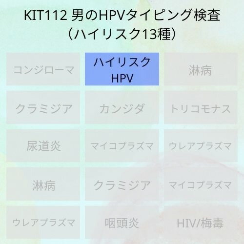 【送料無料】KIT112 アイラボ「男のHPVタイピング検査（ハイリスク13種HPV）」【あす楽対応】検査項目：ハイリスク型HPVタイピング、炎症