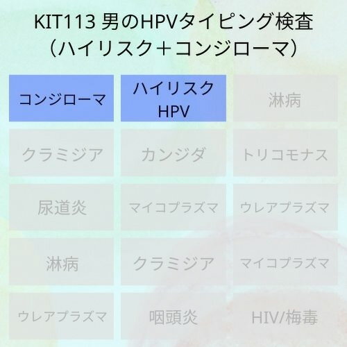 【送料無料】KIT113 アイラボ「男のHPVタイピング検査（ハイリスク＋コンジローマHPV）」【あす楽対応】検査項目：ハイリスクHPVタイピ..