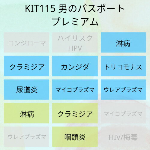 【送料無料】KIT115アイラボの「男のパスポートプレミアム」【あす楽対応】検査項目：尿道の淋病、クラ..