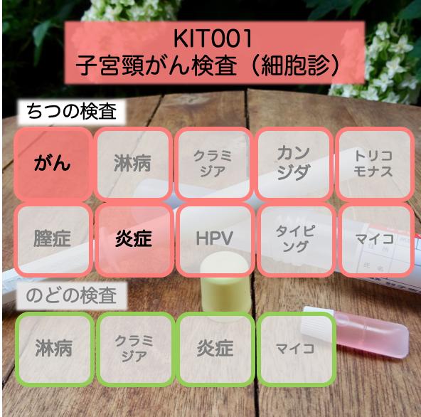 【送料無料】KIT001 アイラボの「子宮頸がん検査」【あす楽対応】検査項目：子宮頸がん検査（細胞診）、膣炎