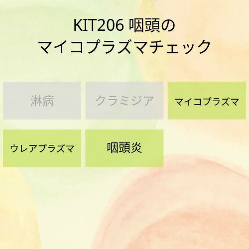 【送料無料】KIT 206 アイラボの「咽頭のマイコプラズマチェック」【あす楽対応】検査項目：マイコプラ..