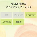 【送料無料】KIT 206 アイラボの「咽頭のマイコプラズマチェック」【あす楽対応】検査項目：マイコプラズマ2種、ウレアプラズマ2種、咽頭炎