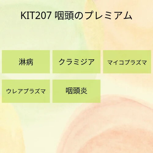 【送料無料】KIT 207 アイラボの「咽頭のプレミアム」【あす楽対応】検査項目：淋病、クラミジア、マイコプラズマ2種、ウレアプラズマ2..