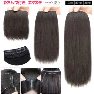 エクステ ショート ストレート 2本セット エクステンション 耐熱 襟足ウィッグ ヘアピース えりあし 部分かつら ウイッグ 付け毛 つけ毛 EXT 010st