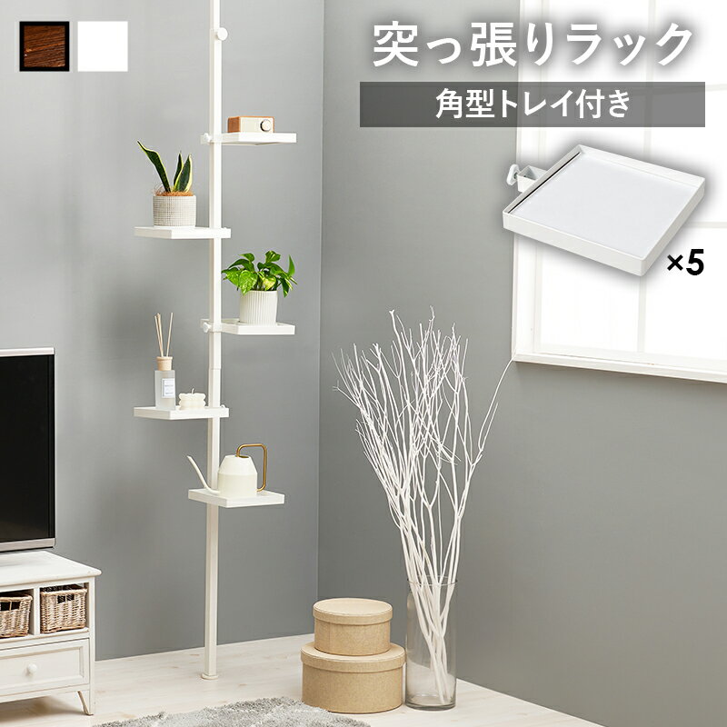 突っ張り棒＆パーツ 6点セット 角型 KTR-3117 ポールラック オシャレ 高さ調節 ラック おしゃれ スリム 壁面収納 小物収納 オープンラック ウォールシェルフ 突っ張り 棚 北欧 シンプル モダンディスプレイ 壁面ラック 賃貸 玄関 リビング【メーカー直送品】 [WDS]