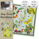 BINDU ビンドゥ Map Print Bandana マッププリント バンダナ 大判 50cm×50cm Canary Island カナリーアイランド Y...