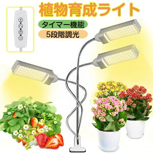 緑のある生活 インテリア性抜群 おしゃれなledの植物育成ライトのおすすめランキング わたしと 暮らし 緑のある生活 インテリア性抜群 おしゃれなledの植物育成ライトのおすすめランキング わたしと 暮らし