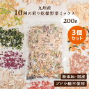 犬 野菜 国産 無添加 犬用野菜 乾燥野菜 野菜 九州産 10種の彩り乾燥野菜ミックス 200g×3個セット ブドウ糖不使用 手作り ごはん 柔らかい まとめ買...