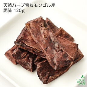 犬 おやつ 無添加 天然ハーブ育ちモンゴル産 馬肺 120g 犬用 馬肉 馬 肺 お試し ドッグフード ドックフード ペットフード ペット 犬用 dog パピー シニア 子犬 成犬 老犬 高齢 小型犬 大型犬 ペット用 イリオスマイル