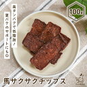 無添加 犬 おやつ 馬サクサクチップス 100g 馬 馬肉 馬肉チップ ドッグフード ドックフード ジャーキー 犬用 dog 犬のおやつ パピー シニア 子犬 ...