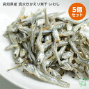 【8/10限定★ポイント5倍】いい魚の日セール:国産 無添加 高知県産 真水炊かえり煮干 いわし 100gx5個セット 減塩 低塩 にぼし鰯 いわし イリオスマイル ドッグフード ドックフード 犬用おやつ 犬 おやつ 無添加おやつ 手作りごはん