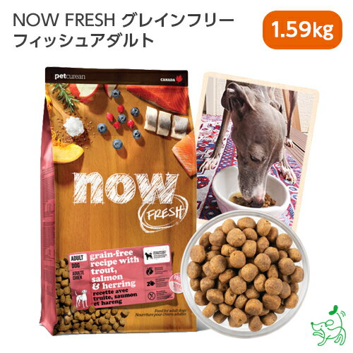 訳ありセール：ナウ フレッシュ NOW FRESH グレインフリー フィッシュアダルト 1.59kg 無添加 犬 犬用 ドッグフード 成犬用 イリオスマイル