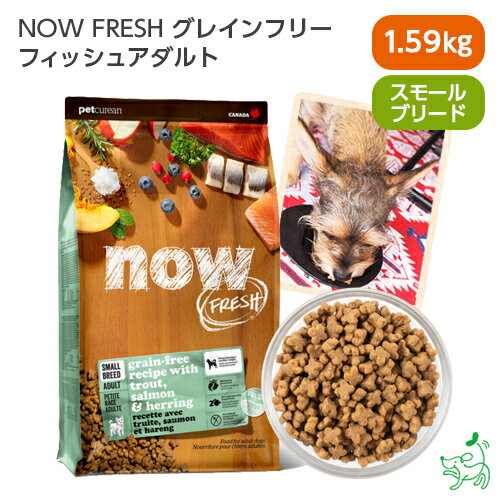 ナウ フレッシュ NOW FRESH グレインフリー スモールブリード フィッシュアダルト 1.59kg カナダ産 dogfood 犬 ごはん ドッグフード 犬用 成犬用 アダルト イリオスマイル iliosmile