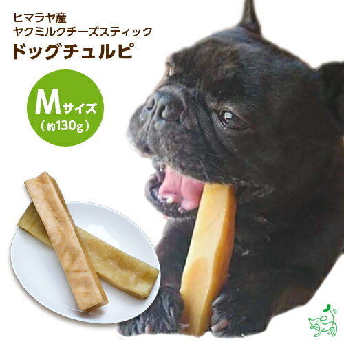 国産生プレミアム 愛犬愛猫用フレッシュチーズ 60g12個セット【冷凍】ご褒美 乳酸菌 チーズ ヨーグルト プレゼント 美味しい 低ナトリウム