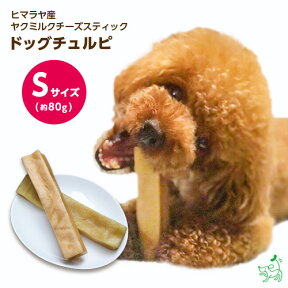 無添加 ヒマラヤ産 ヤクミルクチーズスティック『ドッグチュルピ』Sサイズ(約70～90g) 犬 おやつ チーズ 硬い 固い 長持ち 歯石ケア 歯磨き 歯みがき ガム デンタルケア ドッグフード ペットフード 小型犬 中型犬 大型犬 イリオスマイル