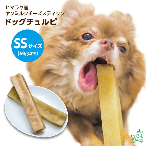 ドギーマン　hello　ダイヤカットチーズ　100g×2袋　犬　おやつ　チーズ【HLS_DU】　関東当日便