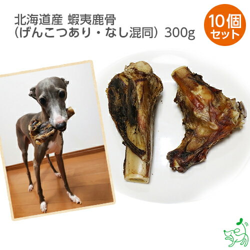 まとめ買い 犬 おやつ国産 無添加 北海道産 蝦夷鹿骨(げんこつあり・なし混同)x10個 蝦夷鹿 骨 ...