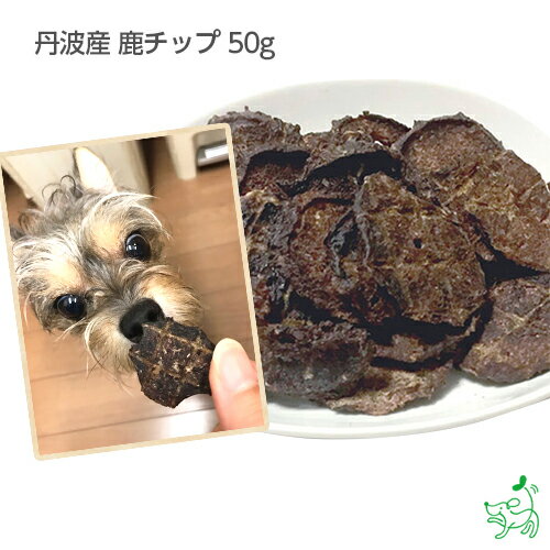 【新商品】国産 馬肉ミックスコインチップ 400g ロゴスペット 無添加 天然 犬用おやつ 犬おやつ おやつ 犬用 猫用おやつ 猫用 猫 犬猫用 オヤツ シニア 馬 馬系 馬のおやつ アレルギー アレルギー対応