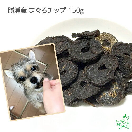 犬 おやつ国産 無添加 勝浦産まぐろチップ 150g ドッグフード ドックフード 鮪 マグロ オメガ3 DHA EPA ジャーキー 犬用 dog 猫 猫用 犬のおやつ 子犬用 子犬のおやつ パピー シニア 子犬 成犬 老犬 高齢 小型犬 大型犬 ペット イリオスマイル