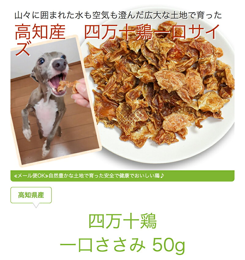 犬 おやつ 無添加 国産 ドッグフード ドックフード タンパク質 ダイエット ササミジャーキー dog 猫 犬のおやつ 子犬用 パピー シニア 子犬 成犬 小型犬 大型犬 【イリオスマイル / iliosmile】高知県産 四万十鶏一口ささみ 50g iliosmile-10001519 犬用自然派おやつ専門店iliosmile サンプル画像3