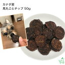 無添加カナダ産 馬丸ごとチップ 50g イリオスマイル ドッグフード ドックフード 犬用おやつ 犬 おやつ 無添加おやつ