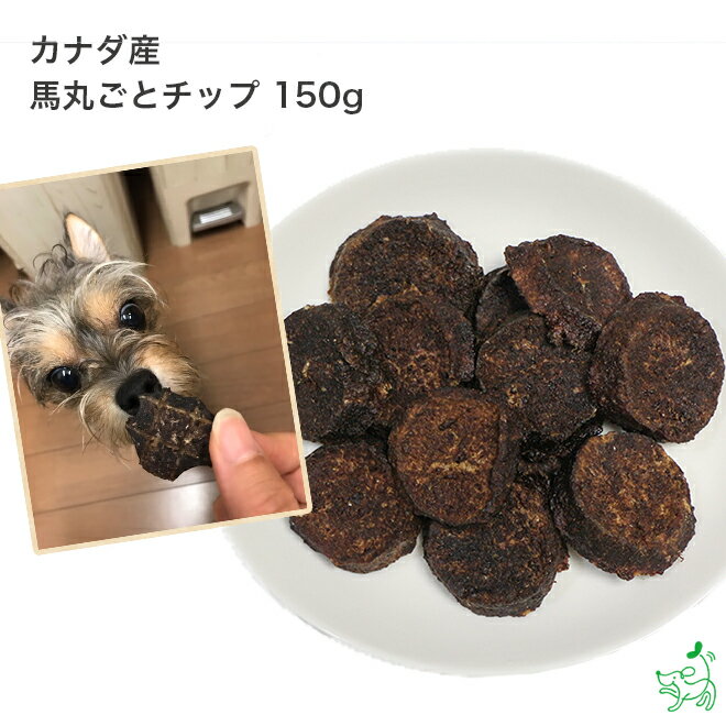 無添加カナダ産 馬丸ごとチップ 150g イリオスマイル ドッグフード ドックフード 犬用おやつ 犬 おやつ 無添加おやつ 1