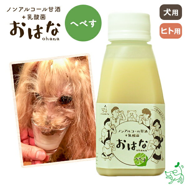 国産 無添加 ペット用ノンアルコール甘酒+乳酸菌 おはな-ohana- へべす 150g 犬 犬用 人用 植物性乳酸菌 米麹 栄養豊富 夏バテ イリオスマイル