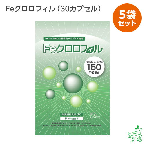 送料無料 消臭サプリ Feクロロフィル（30カプセル）×5袋 体の臭い 口の臭い 加齢臭 FeクロロフィリンNa 食物繊維 イヌリン配合