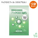 送料無料 消臭サプリ Feクロロフィル(30カプセル)×12袋(1年分) 体の臭い 口の臭い 加齢臭 FeクロロフィリンNa 食物繊維 イヌリン配合