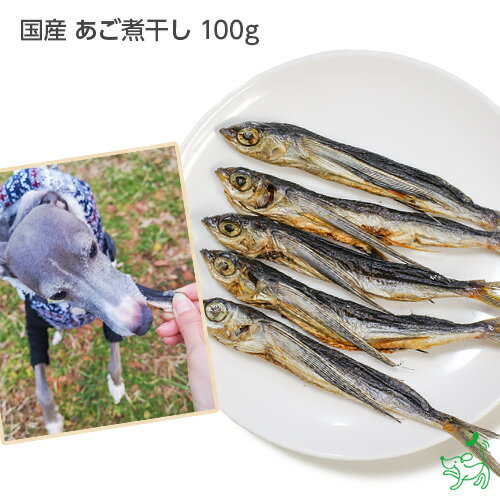 よく一緒に購入されている商品犬 おやつ 無添加 国産 北海タラ 200g 1,760円無添加 国産 いわし煮 30g レトルト ウェ440円国産 無添加 京都産 豆アジ煮干し 100g 671円 成分表 タンパク質 80.0g 脂質 2.2g 炭水化物 0.1g 灰分 7.5g ナトリウム 610mg 食塩相当量 1.5g 水分 12.5g カロリー 325kcal/100g 内容量 100g ご注意 飼い主様の管理の元お与え下さい。ご愛犬の体調が変わった時は獣医師に相談して下さい。 与えすぎにご注意ください。 直射日光や高温多湿の場所を避け、開封後は封をして冷蔵保存しできるだけ早めにお与え下さい。 原材料 飛魚（国内製造）、食塩 類似商品はこちら国産 無添加 高知県産 減塩きびなご煮干し 1682円国産 無添加 愛媛産 いわし煮干し にぼし 鰯770円まとめ買い 国産 無添加 高知県産 減塩きびな9,719円国産 無添加 ムロアジの厚削り節 100g 犬660円国産 無添加 鯖の厚削り節 100g 犬 犬用660円国産 無添加 兵庫産 エイスティック 50g 781円国産 無添加 兵庫産 エイスティック 150g1,991円国産 無添加 高知県産 真水炊かえり煮干 いわ660円国産 無添加 気仙沼産 サメスティック 1501,991円新着商品はこちら2024/5/15国産 無添加 贅沢彩りソーセージセット イリオ1,320円2024/5/15無添加牛タン皮 150g イリオスマイル ドッ1,320円2024/5/15犬 おやつ無添加 ヒマラヤ産 ヤクミルクチーズ1,265円再販商品はこちら2024/5/17国産 無添加 但馬鶏スライス 50g 犬 犬781円2024/5/17アニモンダ インテグラプロテクト センシティブ2,750円2024/5/17Pet Kind トライプドライ グリーントラ2,750円2024/05/18 更新Home / 魚 骨まで丸ごと カルシウムが豊富高たんぱく低カロリーの魚のおやつ 国産 あご煮干し 100g 「ご愛犬のおやつにこんなお悩みありませんか？」 ●食欲不振の為、食いつきを良くさせたい ●肥満対策、ダイエット向けのおやつを探している ●お肉にアレルギーが多い為魚系のおやつを探している ●カルシウムを摂取できるおやつを探している ●トレーニングのご褒美に使える香りが強いおやつを探している ●栄養価の高いものを与えたい 「希少な国産水揚げのトビウオ」 ●「トビウオは高タンパク・低脂肪」 トビウオは運動量が多いために脂肪分は少なめで、高タンパク質のお魚です。 トビウオには抗酸化性に富む「セレン」の含有量が多いことも特徴です。 また、マグネシウム、銅などのミネラルが豊富です。 銅が不足すると骨の変形、骨折などを招くこともあり、トビウオからカルシウムと銅を同時に摂取できます。 ●「丸ごと骨まで　カルシウムたっぷり」 トビウオの内臓のみを取り除き、身と骨をそのまま乾燥させジャーキーに仕上げています。 トビウオはカルシウムの含有量が多い食品第3位に選ばれるほどです。（文部科学省　食品成分データベースより） ●「大人気“あごだし”の原材料であるトビウオ」 トビウオは人気の“あごだし”の原材料です。 私たちが調理する際に使用する「出汁」のなかでも人気の食材です。 “あごだし”の元であるトビウオの旨味に、きっとご愛犬も喜んでくれるはずです。 ●「おやつやフードのトッピングにも！」 手やハサミで細かくすることができます。 トレーニング中のご褒美やお散歩のおやつにも多くご利用頂いています。 また、細かく砕くことで、フードのふりかけとしてもご利用いただけます。 いつものごはんにワンポイントアレンジができますので 「最近食い付きが悪くなった」、「食が細い」という子にぜひお試しください。 ※羽の部分など一部尖っている箇所がございます。 与える前に十分にご注意ください。 「私たちが食べられる安全なものを与えたい」 人が食しているレベルの食材にこだわり、トビウオの内臓のみを取り除き、身と骨を乾燥させたシンプルなおやつです。 もちろん、合成保存料、合成着色料等は一切使用していません。 その為、開封後はなるべく早くお召し上がり下さい。 直射日光の当たらない冷暗所に保管して下さい。 保存期間が長くなる場合は、季節にかかわらず冷蔵保存をお願いします。 ※製造過程で必要な食塩が含まれております。 悪影響を及ぼす量ではございませんが、 塩分摂取を避けているワンちゃんはご利用をお控えくださいませ。※ ※ご注意 こちらの商品は、柔らかく衝撃に弱いため、 頭と体がバラバラな状態のものが入っている場合がございます。 また、漁の季節や時期により、魚の個体差が大きく変動する場合がございます。 品質や内容量には変わりはございませんので、何卒ご了承ください。 こちらの商品は2個までネコポスで配送可能です。 ※但し、配送途中で商品が破損してしまう場合があります。 ネコポスをご希望の方は、予めご了承の上ご注文ください。