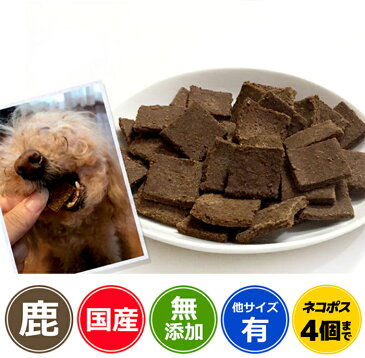 【国産・無添加】丹波産 鹿ビスコッティ 50g | イリオスマイル ドッグフード ドックフード 犬用おやつ 犬 おやつ 無添加おやつ