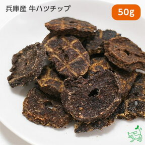 犬 おやつ国産 無添加 兵庫産 牛ハツチップ 50g 牛 ハツ ドッグフード ドックフード ペットフード チップス トレーニング プレゼント お試し 犬用 dog パピー シニア 子犬 成犬 老犬 高齢 小型犬 大型犬 ペット 犬のおやつ 犬用品 イリオスマイル