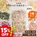 【15%OFF★お買い物マラソン】犬 野菜 国産 無添加 犬用野菜 乾燥野菜 野菜 九州産 10種の彩り乾燥野菜ミックス 200g×3個セット ブドウ糖不使用 ...