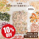 10種の彩り乾燥野菜ミックス
