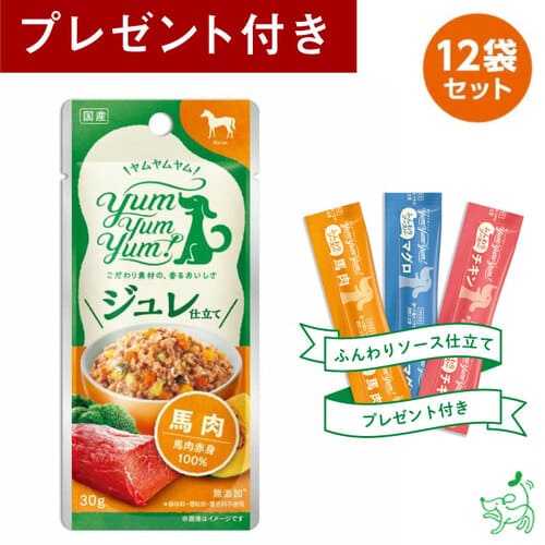 Yum Yum Yum!（ヤムヤムヤム）ジュレ仕立て 馬肉×12袋セット 犬 犬用 ドッグフード ウェットフード 国産ドッグフード ペットフード ナチュラルフード イリオスマイル