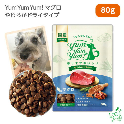 Yum Yum Yum!（ヤムヤムヤム） マグロ やわらかドライタイプ 80g 犬 犬用 ドッグフード 国産ドッグフード セミモイスト ペットフード イリオスマイル iliosmile