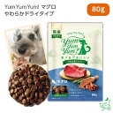 Yum Yum Yum （ヤムヤムヤム） マグロ やわらかドライタイプ 80g 犬 犬用 ドッグフード 国産ドッグフード セミモイスト ペットフード イリオスマイル iliosmile