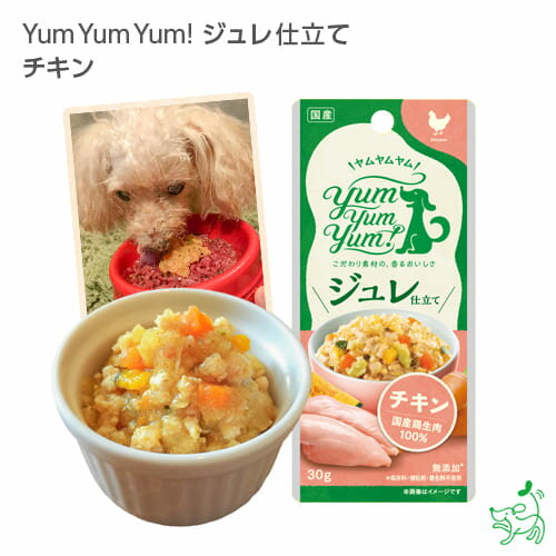 【当店初利用5%OFFクーポン】Yum Yum Yum!(ヤムヤムヤム)ジュレ仕立て チキン 犬 犬用 ドッグフード ウェットフード 国産ドッグフード ペットフ...