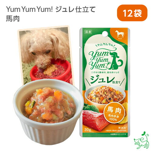 Yum Yum Yum!（ヤムヤムヤム）ジュレ仕立て 馬肉×12袋セット 犬 犬用 ドッグフード ウェットフード 国産ドッグフード ペットフード ナチュラルフード イリオスマイル