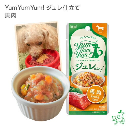 【当店初利用5%OFFクーポン】Yum Yum Yum!(ヤムヤムヤム)ジュレ仕立て 馬肉 犬 犬用 ドッグフード ウェットフード 国産ドッグフード ペットフー...